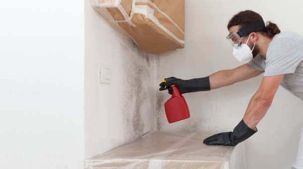 Professional Mold Remediation technician working in Byers, CO