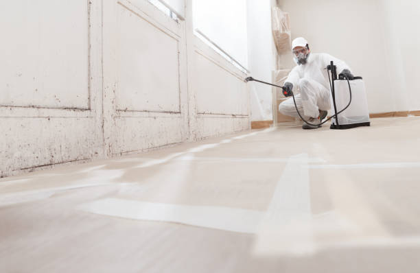 24/7 Emergency Mold Remediation experts in Byers, CO